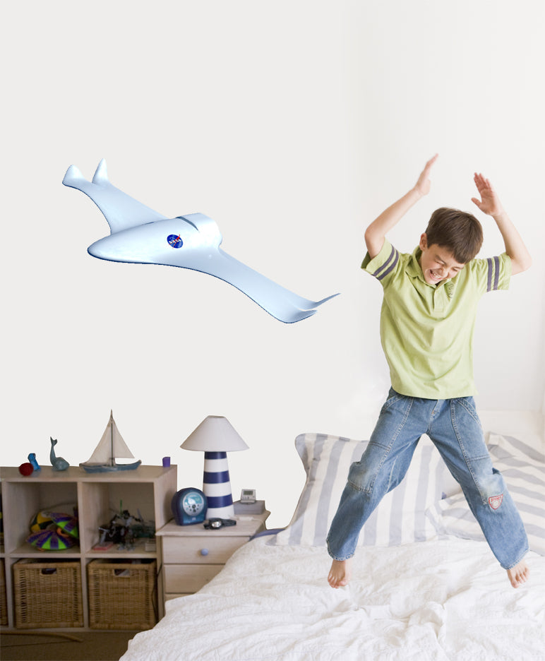NASA Smart Plane Wall Decal Cutout Installed