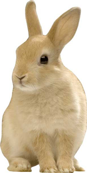 Sitting Bunny Wall Decal Cutout