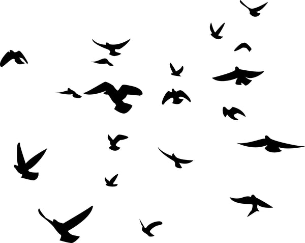 Soaring Birds Black Silhouette Wall Decal Set