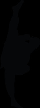 Martial Arts Kicking III Silhouette Wall Decal Cutout