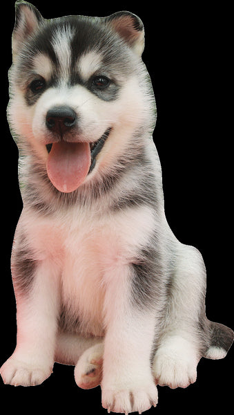 Husky Wall Decal Cutout