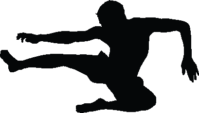 Martial Arts Flying Kick Silhouette Wall Decal Cutout