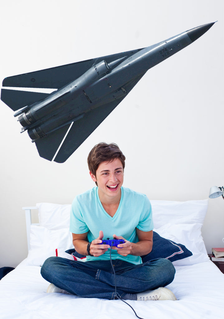 F-111 Aardvark Wall Decal Cutout Installed