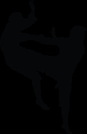 Martial Arts Sparring Silhouette Wall Decal Cutout