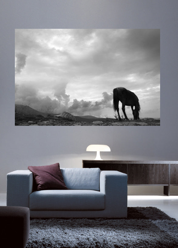 Grazing Horse Wall Decal Poster Installed