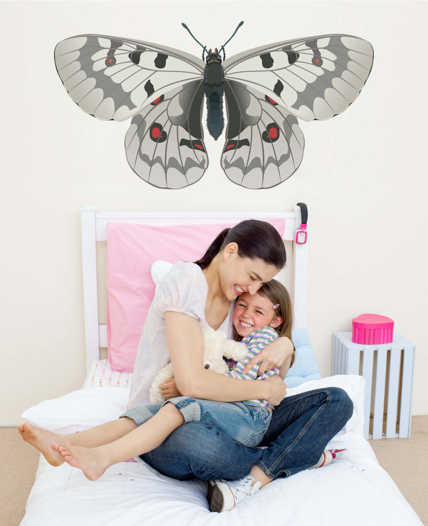 Butterfly Wall Decal Cutout Installed