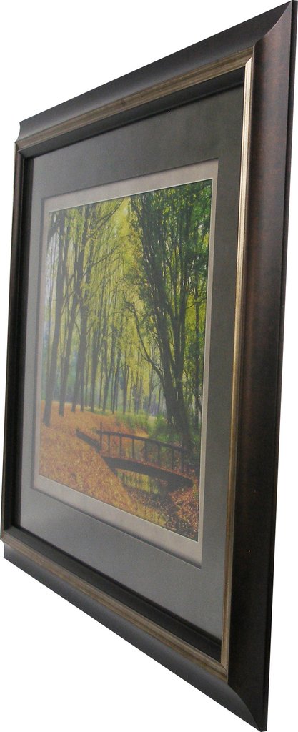 Fall Tree Tunnel Framed Art 19.25"x23.25" Angle