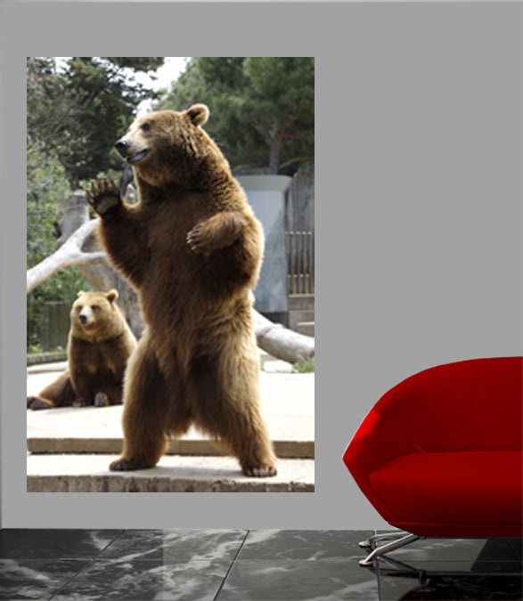 Standing Bear Wall Decal Poster Installed