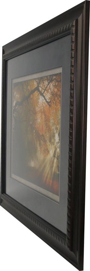 Forest Light Framed Art 19.25"x23.25" Angle
