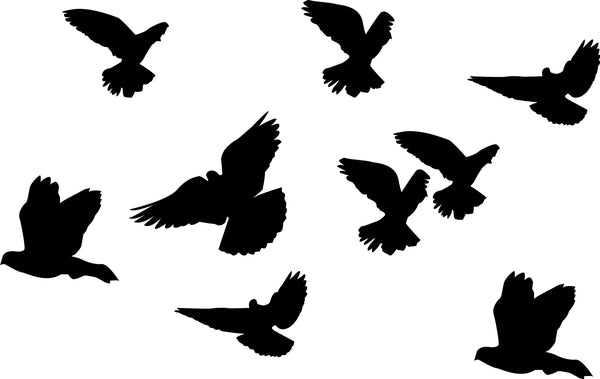 Mixed Birds Sihouette Black Wall Decal Set
