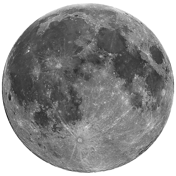 Full Moon Wall Decal Cutout