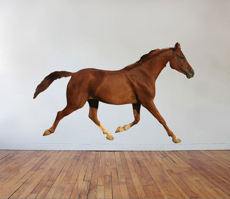 Trotting Horse Wall Decal Cutout Installed