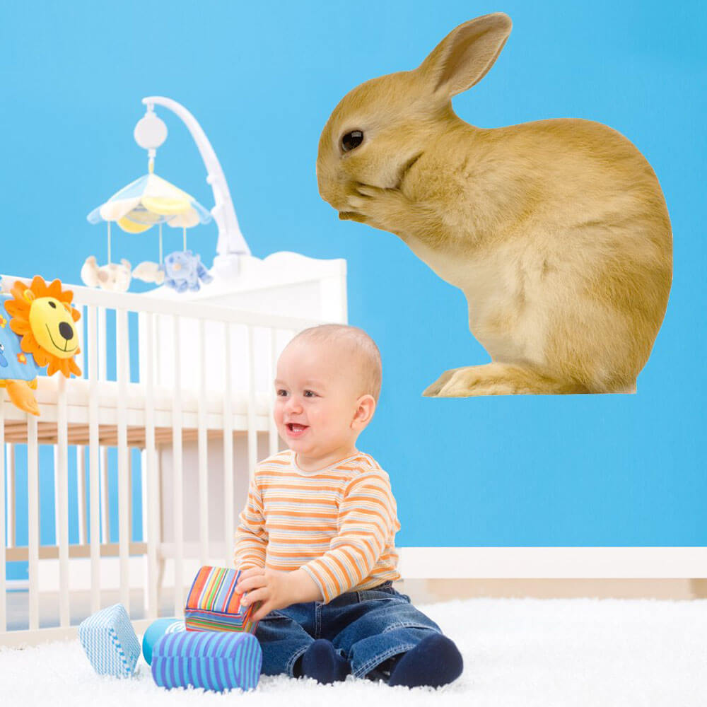 Whispering Bunny Wall Decal Installed