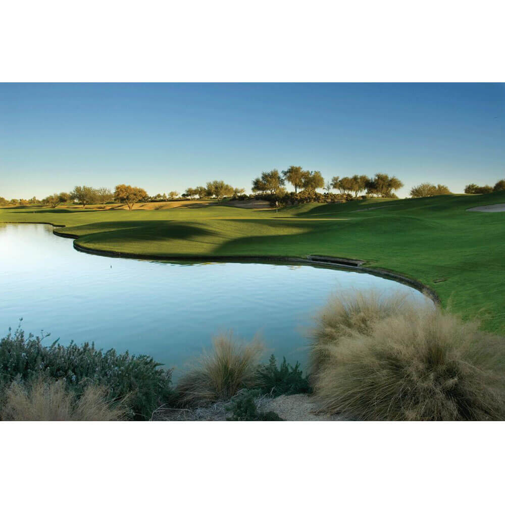Wallhogs Arizona Golf Course Wall Decal