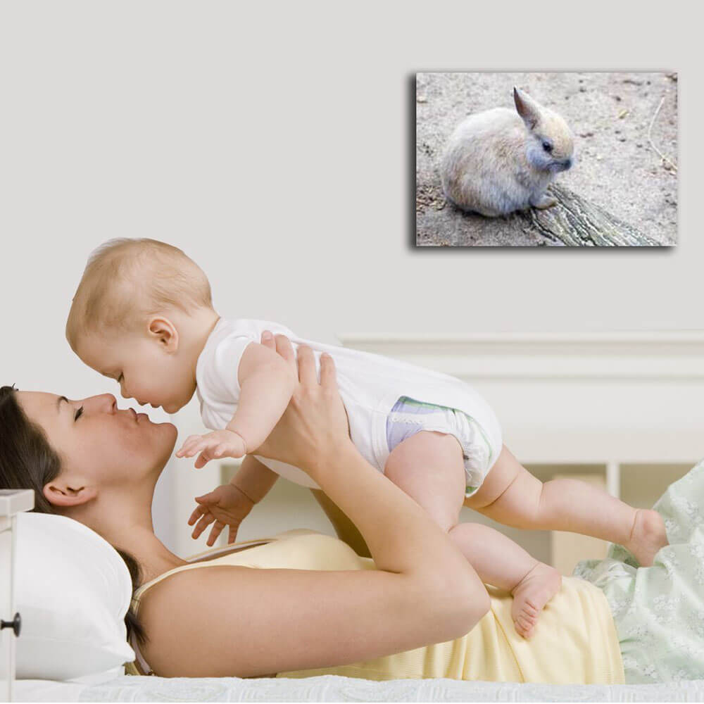 Wallhogs Baby Bunny Canvas Print Installed