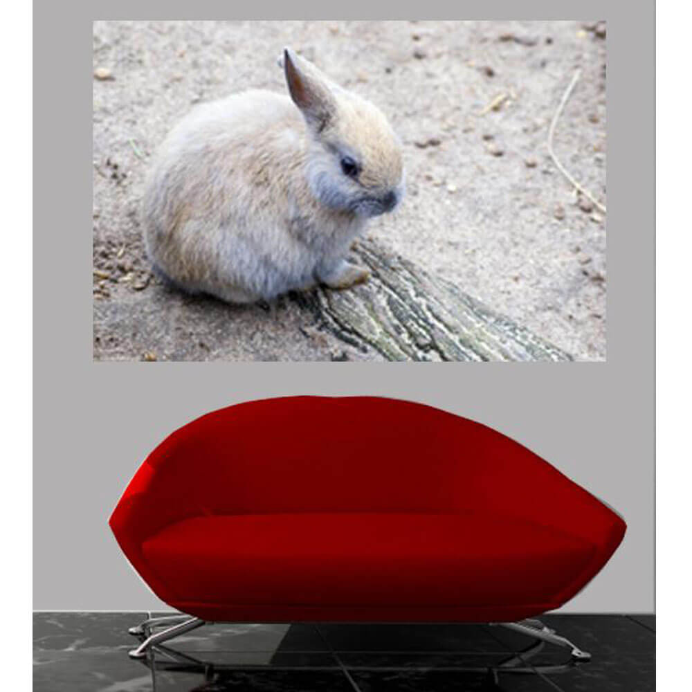 Wallhogs Baby Bunny Wall Decal Installed