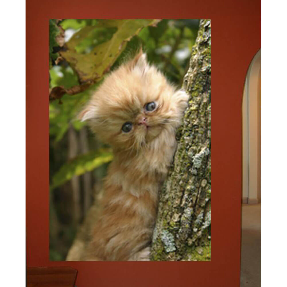 Wallhogs Baby Kitten in a Tree Wall Decal Installed