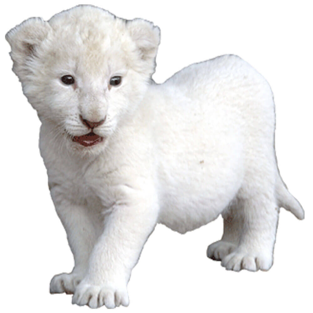 Wallhogs Baby Tiger Cub Wall Decal