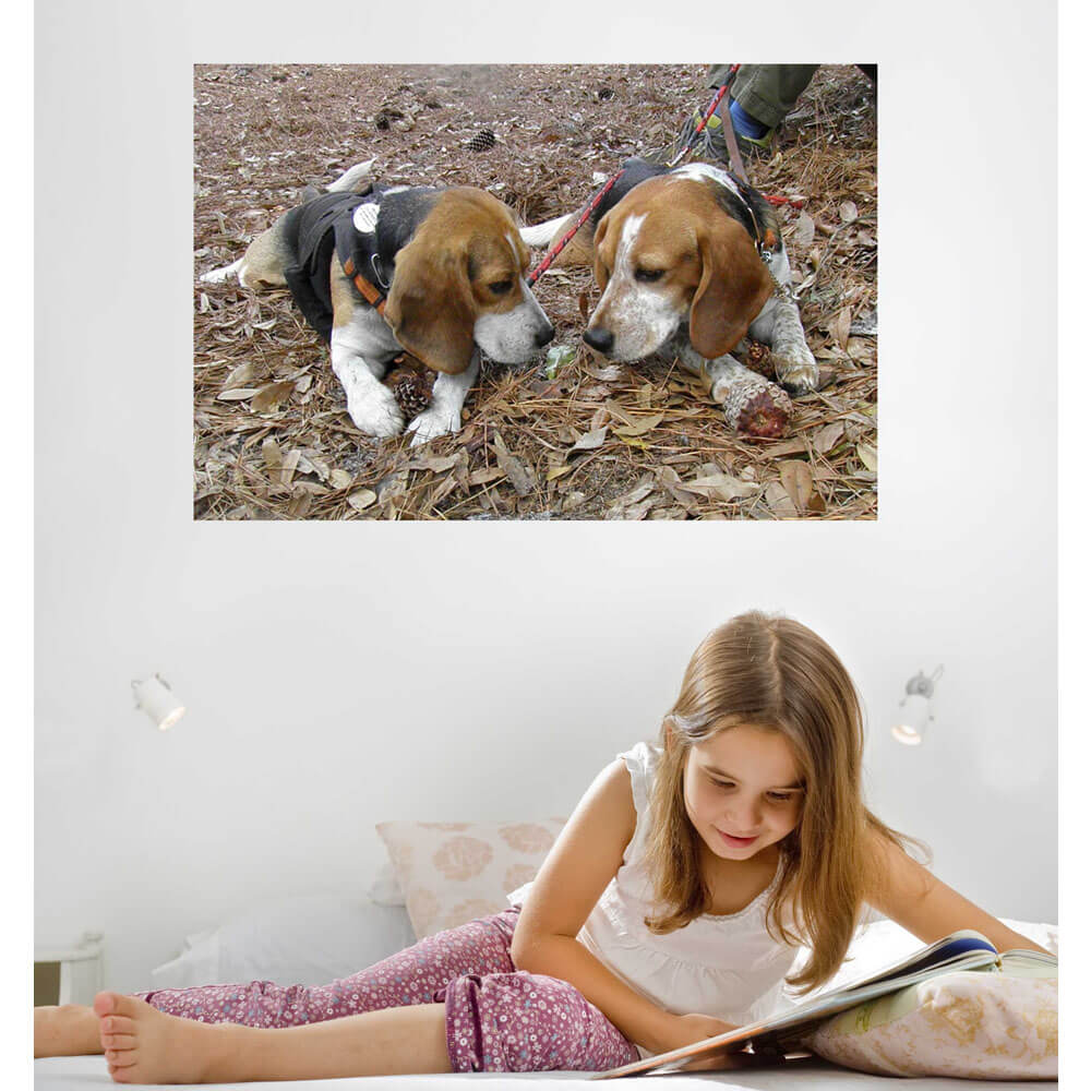 Animal Tourism Twins Wall Decal Installed