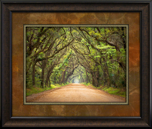 Treelined Path Framed Art 19.25"x23.25"