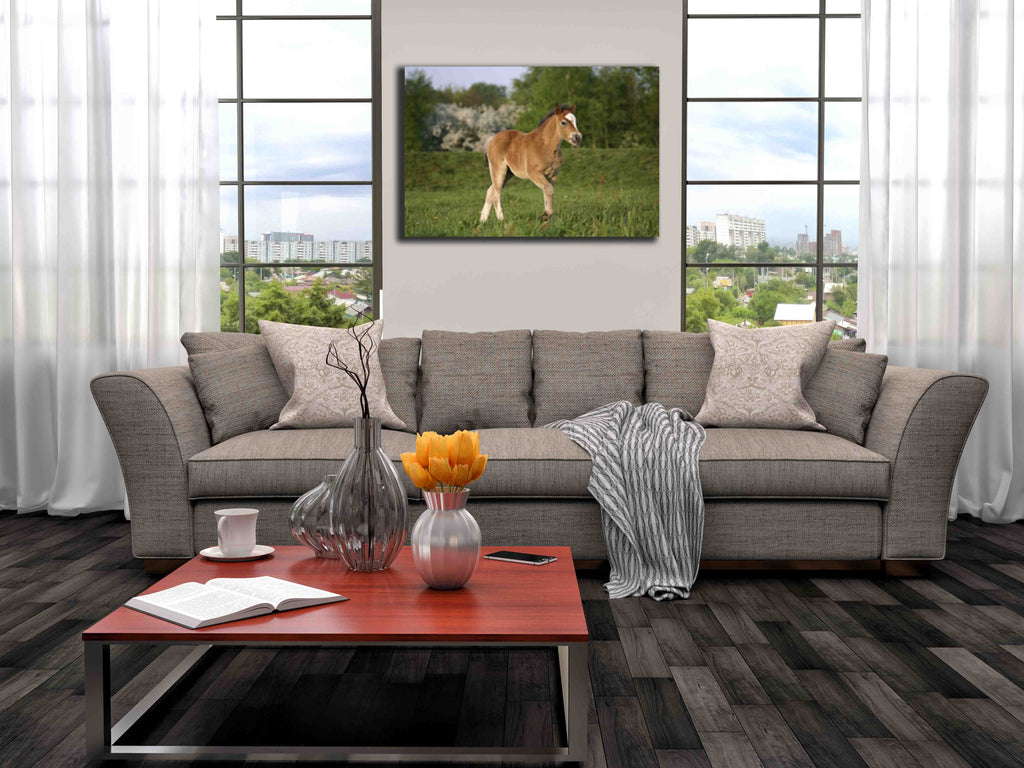 Pony Canvas Installed