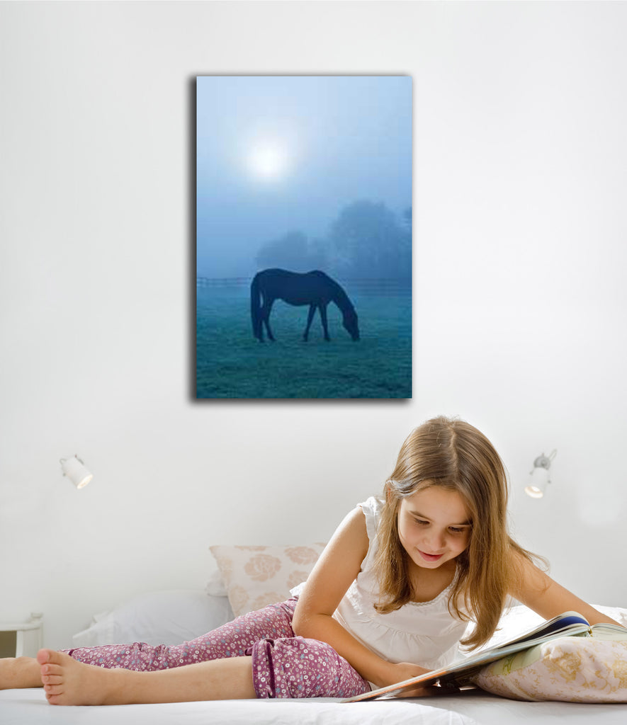 Morning Mist Horse Canvas Installed