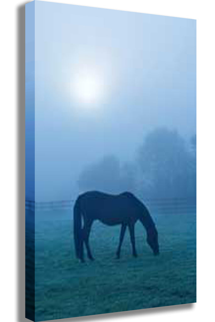 Morning Mist Horse Canvas Printed