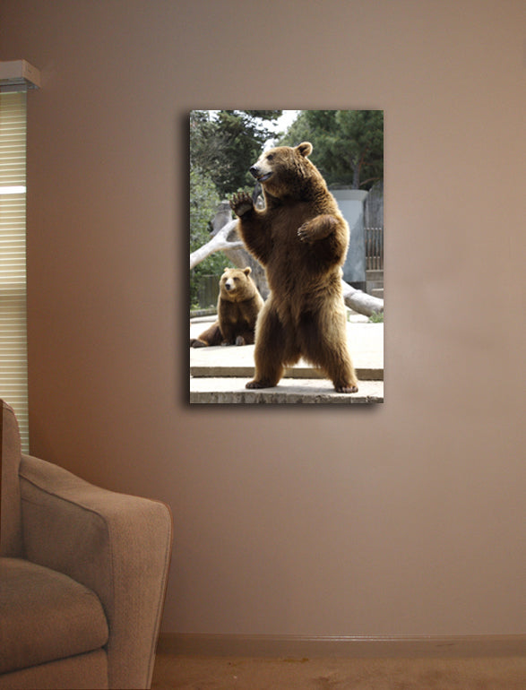 Standing Bear Canvas Installed