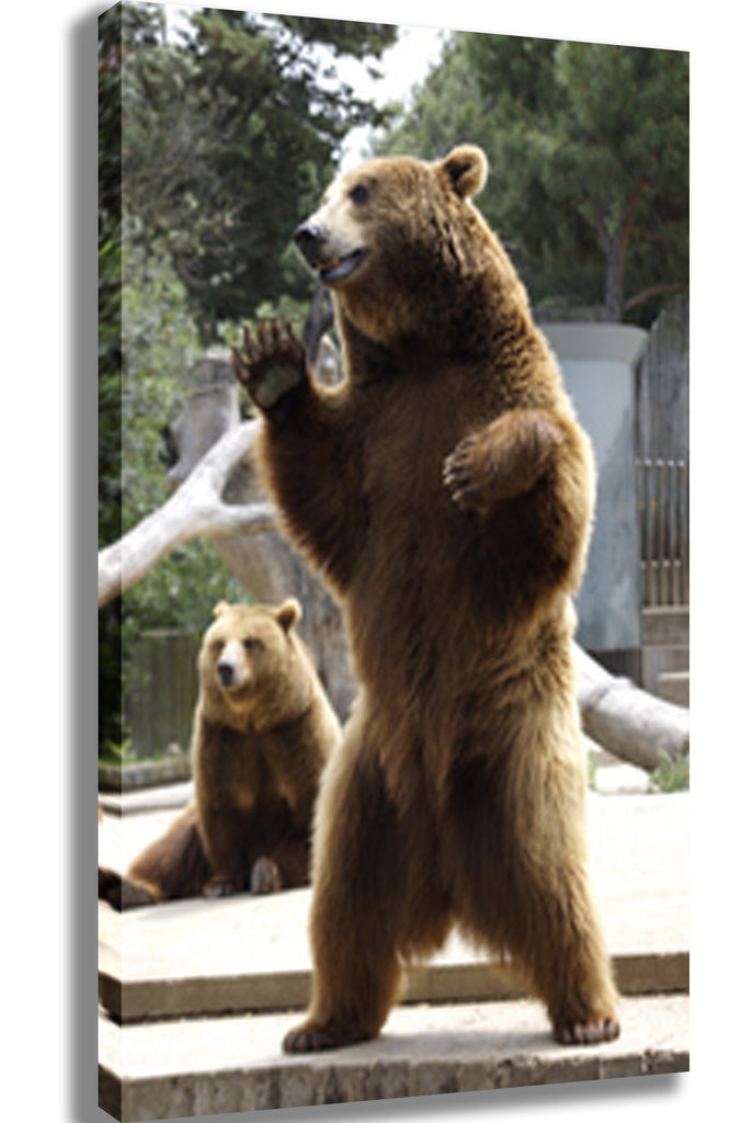Standing Bear Canvas Printed
