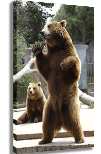 Standing Bear Canvas Printed