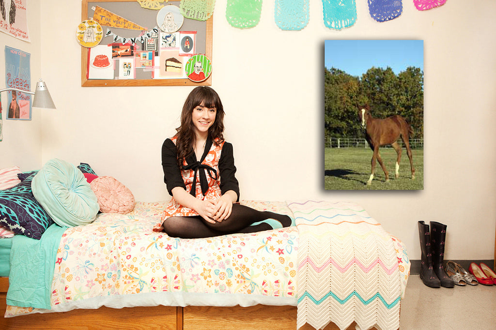 Horse Portrait Canvas Installed