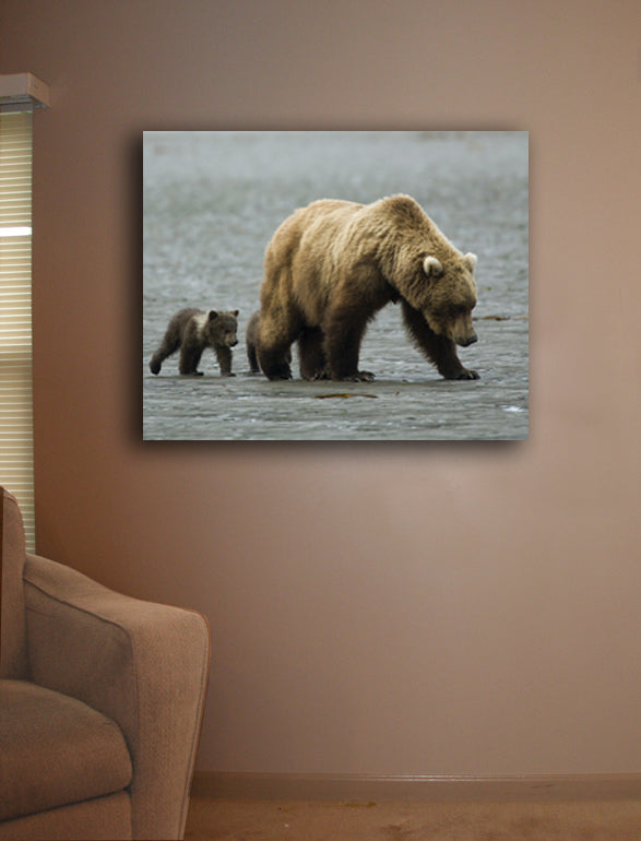 Mama & Baby Grizzly Canvas Installed
