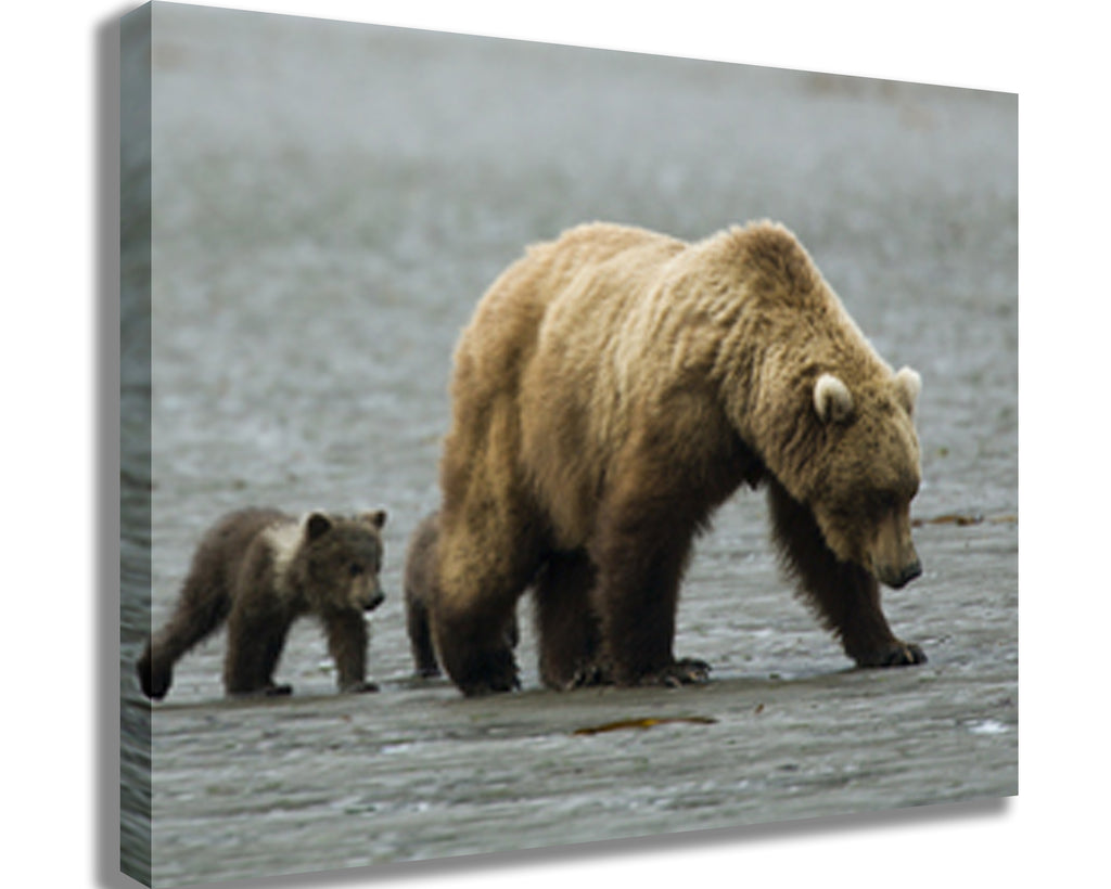 Mama & Baby Grizzly Canvas Printed