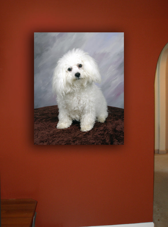 Poodle Portrait Canvas Installed