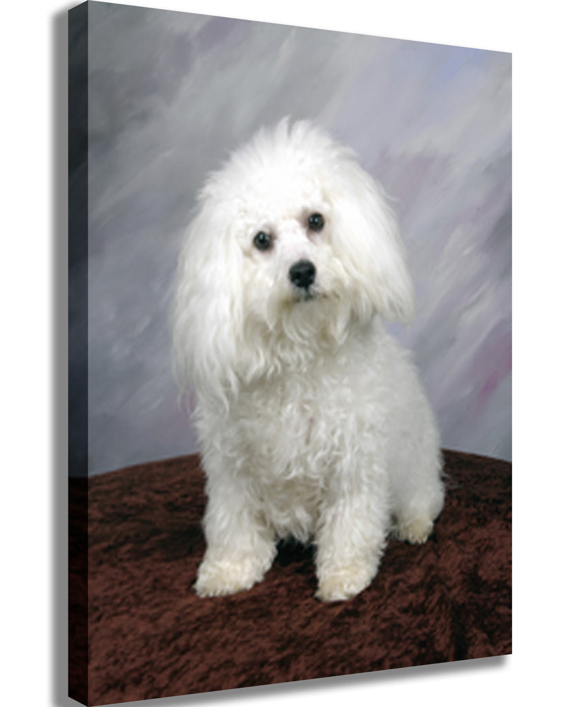 Poodle Portrait Canvas Printed