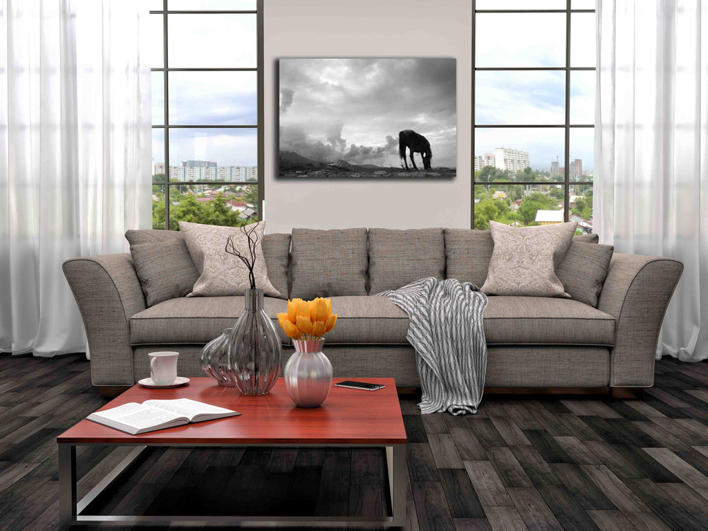Grazing Horse Canvas Installed