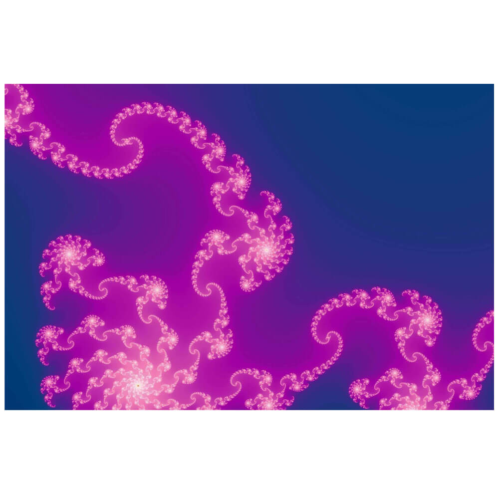 Backlund Jellyfish Wonder Glossy Poster