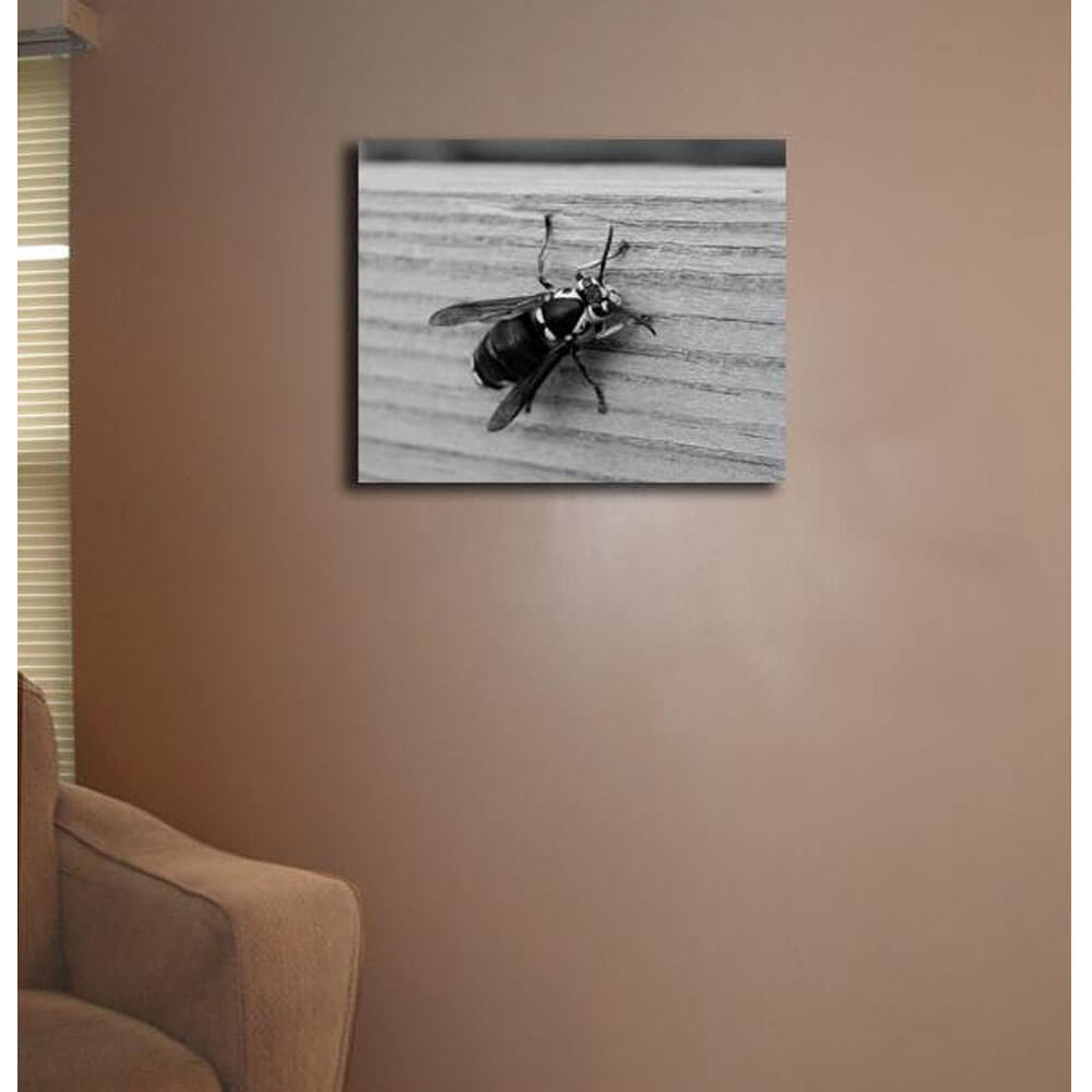 Baker Bee Canvas Print Installed