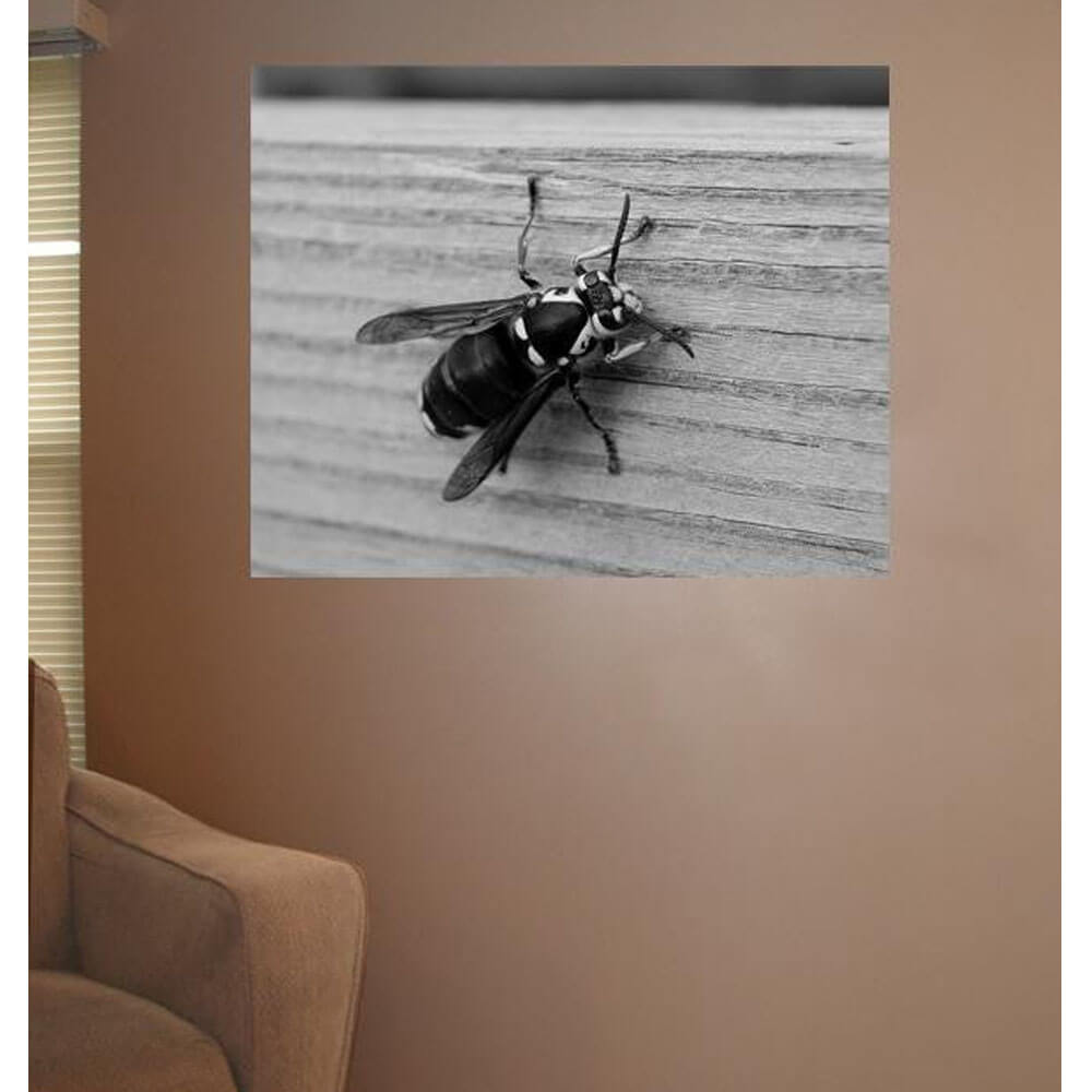 Baker Bee Wall Decal Installed