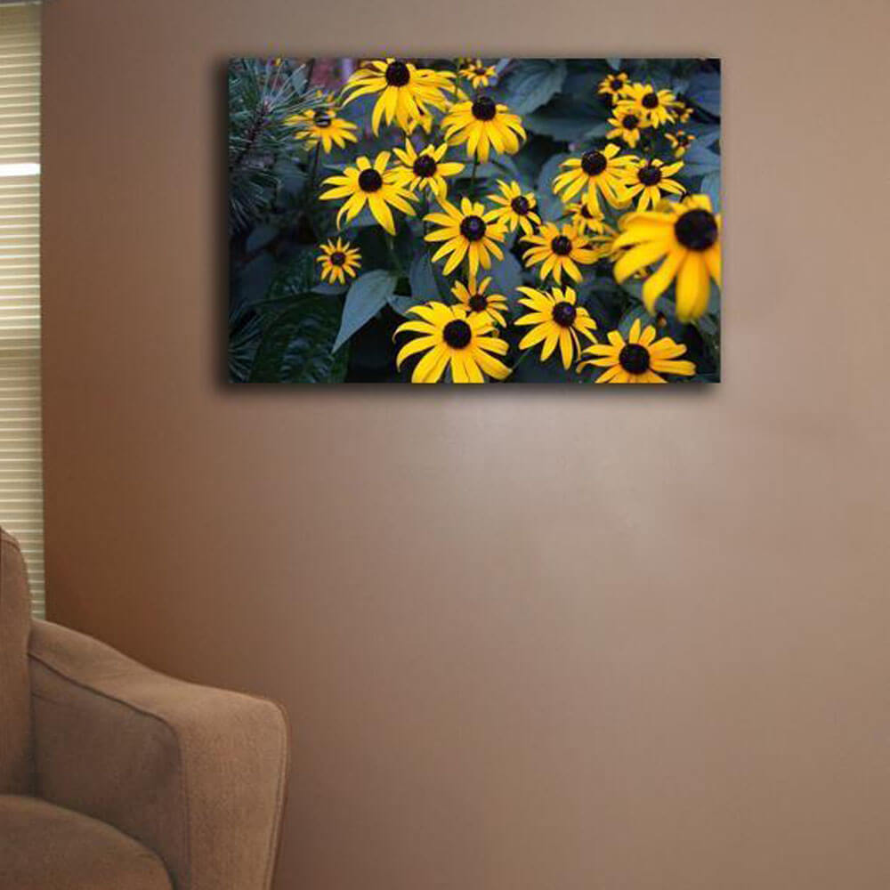 Baker Bunch of Daisies Canvas Print Installed