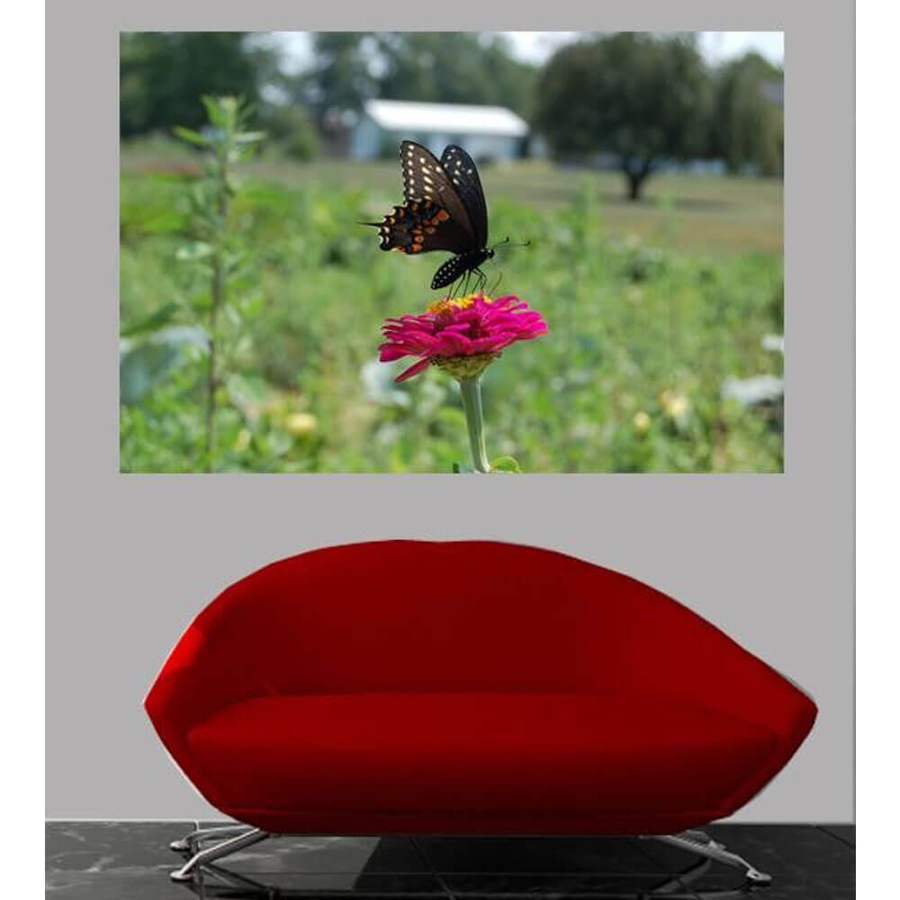 Baker Butterfly Glossy Poster Installed