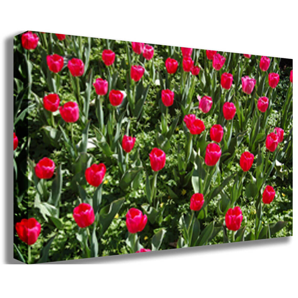 Baker Flowers Canvas Print