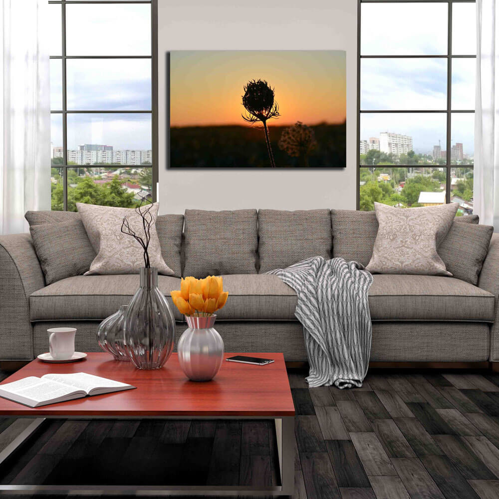Baker Sunset Flower Canvas Print Installed
