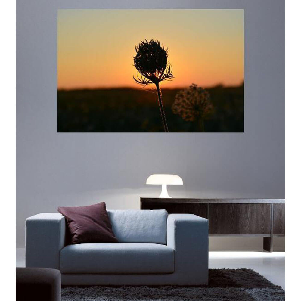 Baker Sunset Flower Wall Decal Installed