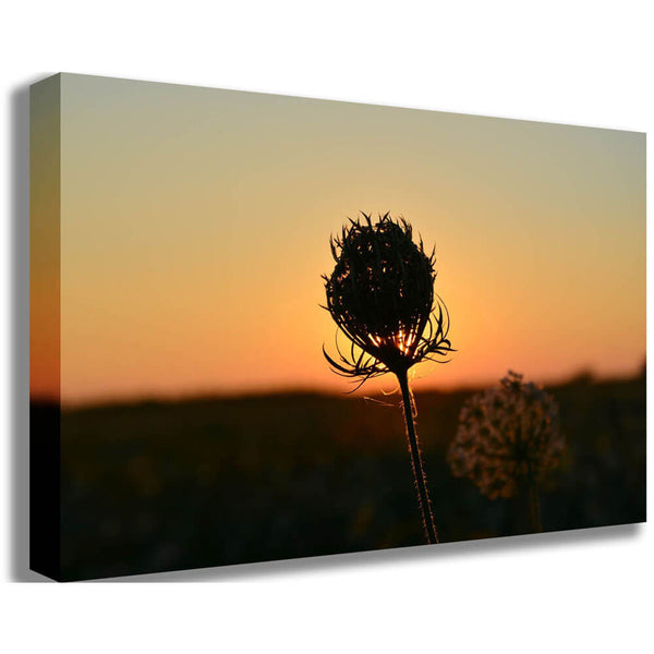 Baker Sunset Flower Canvas Print