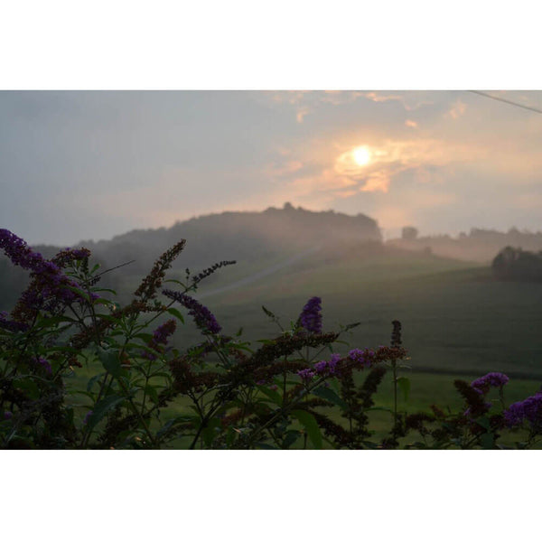 Baker Sunset Heaven Gloss Poster