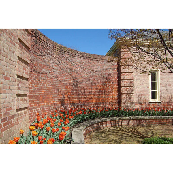 Baker Wall Wall Decal