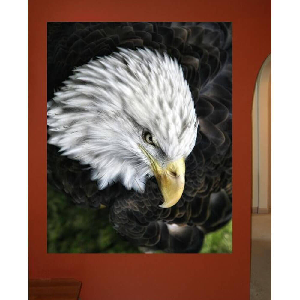 Batie Bald Eagle Glossy Poster Installed