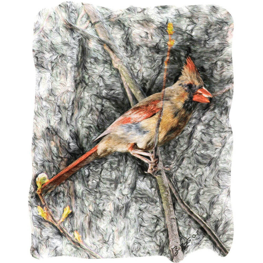 Batie Cardinal Wall Decal