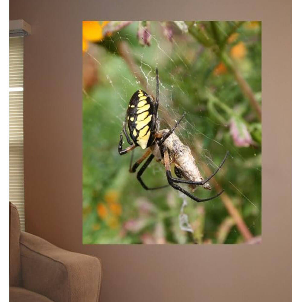 Batie Feeding Time Glossy Poster Installed